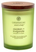 Chesapeake Bay Balance + Harmony Scented Candle Water Lily Pear Fragrance 50 Hours Burn Time Warm & Decorative Soy Wax Blend