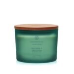 Chesapeake Bay Balance + Harmony Scented Candle Water Lily Pear Fragrance 50 Hours Burn Time Warm & Decorative Soy Wax Blend