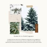 Thymes Frasier Fir Pine Needle Candle – Holiday Candles for Home Scented with Notes of Crisp Siberian Fir, Cedarwood & Sandalwood – Christmas Decor – Christmas Gifts for Women &...