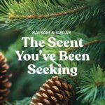 Yankee Candle Balsam & Cedar, Holiday Scented Candle, 22oz Large Jar with up to 150 Hour Burn Time, Giftable