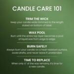 Yankee Candle Balsam & Cedar, Holiday Scented Candle, 22oz Large Jar with up to 150 Hour Burn Time, Giftable