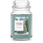 Yankee Candle Balsam & Cedar, Holiday Scented Candle, 22oz Large Jar with up to 150 Hour Burn Time, Giftable