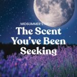 Yankee Candle Mid Summer's Night, Scented Candle, 22oz Large Jar with up to 150 Hour Burn, Giftable